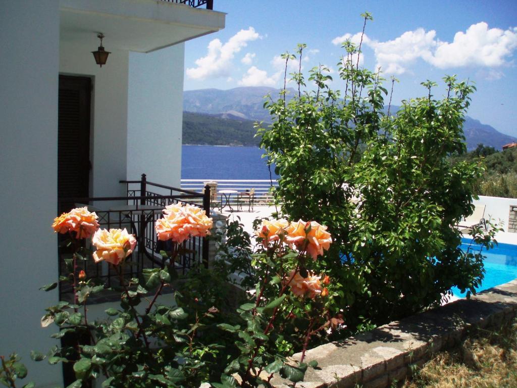 Scorpios Hotel&Suites Samos Town Pokoj fotografie